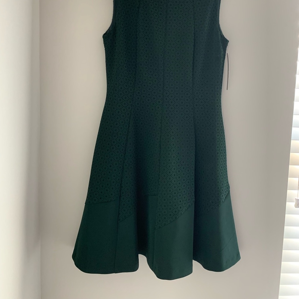 Alex Marie Dark Green Sleeveless Dress - Picture 7 of 11